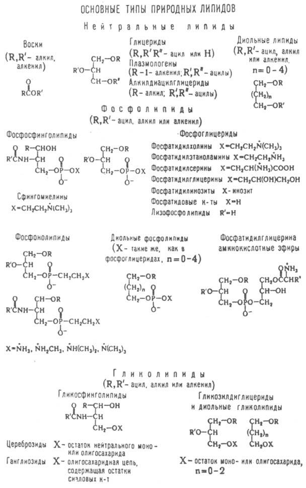 http://www.pora.ru/image/encyclopedia/1/0/4/8104.jpeg