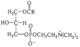 http://www.pora.ru/image/encyclopedia/1/0/5/8105.jpeg