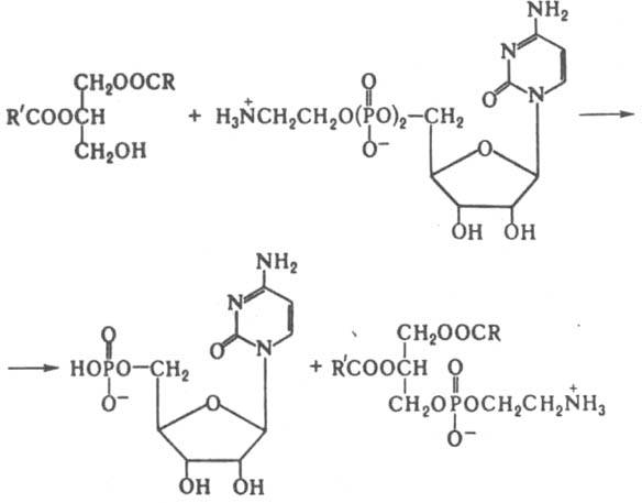 http://www.pora.ru/image/encyclopedia/1/0/7/8107.jpeg