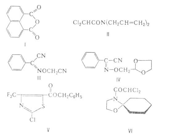 http://www.pora.ru/image/encyclopedia/3/4/0/2340.jpeg