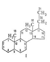 http://www.pora.ru/image/encyclopedia/3/5/9/5359.jpeg