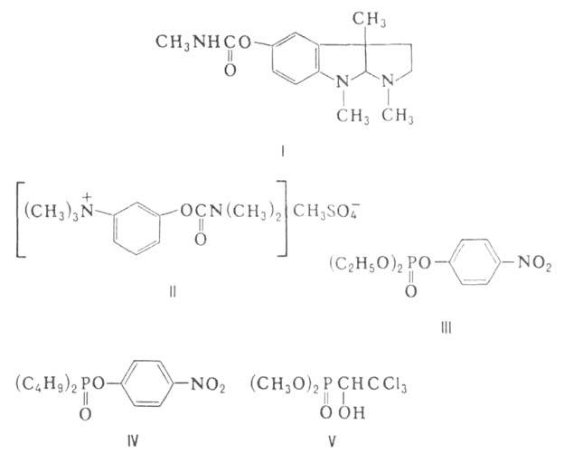 http://www.pora.ru/image/encyclopedia/3/6/6/2366.jpeg