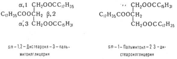 http://www.pora.ru/image/encyclopedia/6/9/5/6695.jpeg