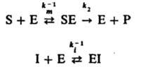 http://www.pora.ru/image/encyclopedia/9/5/7/6957.jpeg