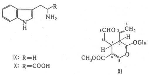 https://www.pora.ru/image/encyclopedia/0/0/0/7000.jpeg