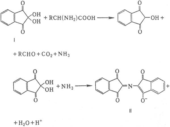 https://www.pora.ru/image/encyclopedia/0/0/0/9000.jpeg