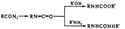 https://www.pora.ru/image/encyclopedia/0/0/4/8004.jpeg