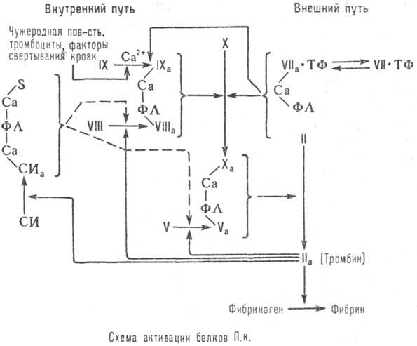 https://www.pora.ru/image/encyclopedia/0/1/0/12010.jpeg