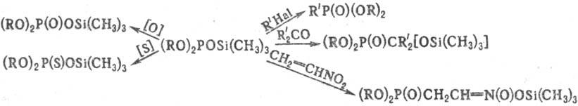 https://www.pora.ru/image/encyclopedia/0/1/3/13013.jpeg