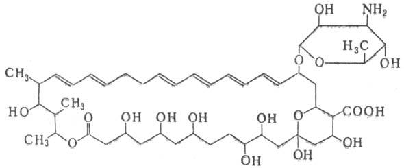 https://www.pora.ru/image/encyclopedia/0/1/4/9014.jpeg