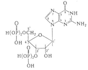 https://www.pora.ru/image/encyclopedia/0/2/0/6020.jpeg