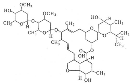 https://www.pora.ru/image/encyclopedia/0/2/3/7023.jpeg