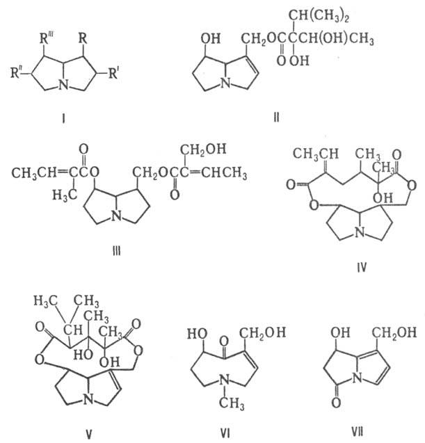 https://www.pora.ru/image/encyclopedia/0/2/4/11024.jpeg