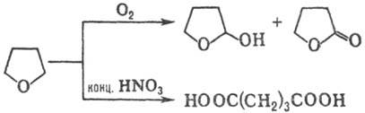 https://www.pora.ru/image/encyclopedia/0/2/5/14025.jpeg