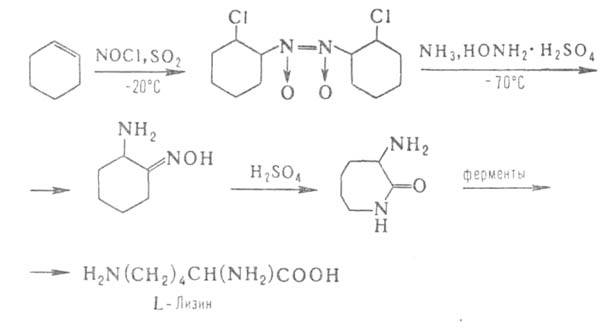 https://www.pora.ru/image/encyclopedia/0/2/7/2027.jpeg