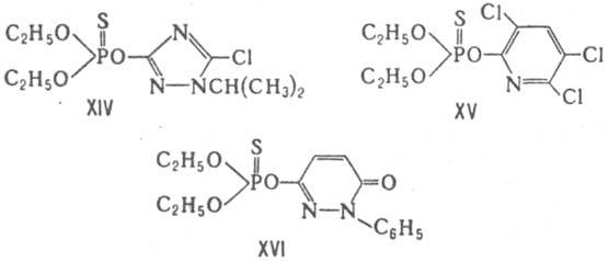 https://www.pora.ru/image/encyclopedia/0/2/9/7029.jpeg