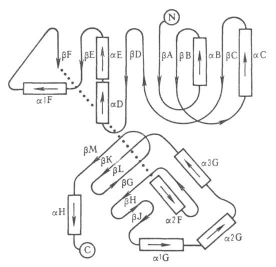 https://www.pora.ru/image/encyclopedia/0/4/6/3046.jpeg