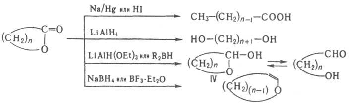 https://www.pora.ru/image/encyclopedia/0/5/2/8052.jpeg