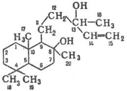 https://www.pora.ru/image/encyclopedia/0/5/5/13055.jpeg