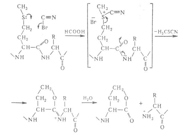 https://www.pora.ru/image/encyclopedia/0/5/5/3055.jpeg