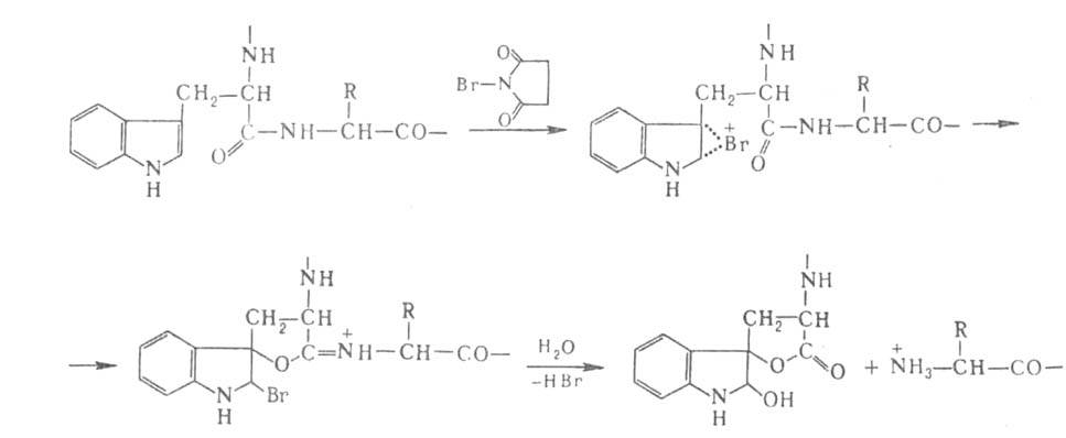 https://www.pora.ru/image/encyclopedia/0/5/6/3056.jpeg