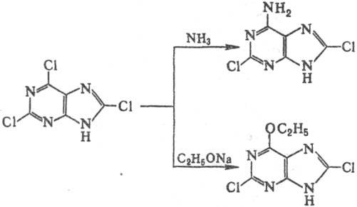 https://www.pora.ru/image/encyclopedia/0/6/0/12060.jpeg