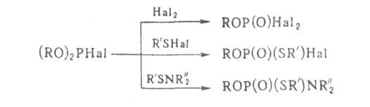 https://www.pora.ru/image/encyclopedia/0/6/1/5061.jpeg