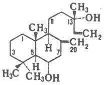 https://www.pora.ru/image/encyclopedia/0/6/4/8064.jpeg