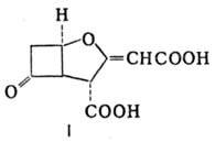 https://www.pora.ru/image/encyclopedia/0/7/0/11070.jpeg