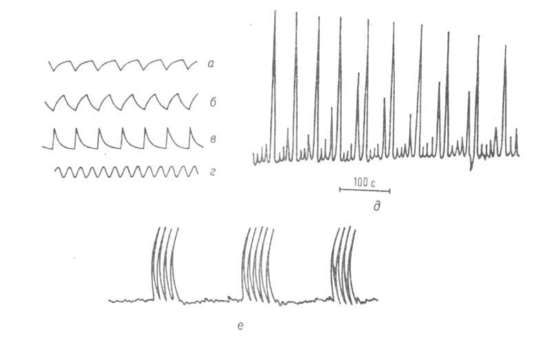 https://www.pora.ru/image/encyclopedia/0/7/5/3075.jpeg