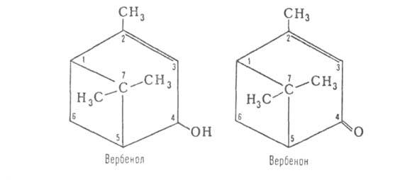 https://www.pora.ru/image/encyclopedia/0/7/6/4076.jpeg