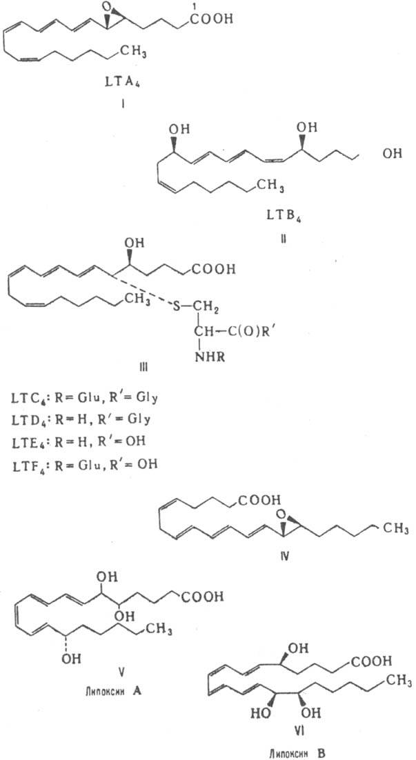 https://www.pora.ru/image/encyclopedia/0/7/6/8076.jpeg