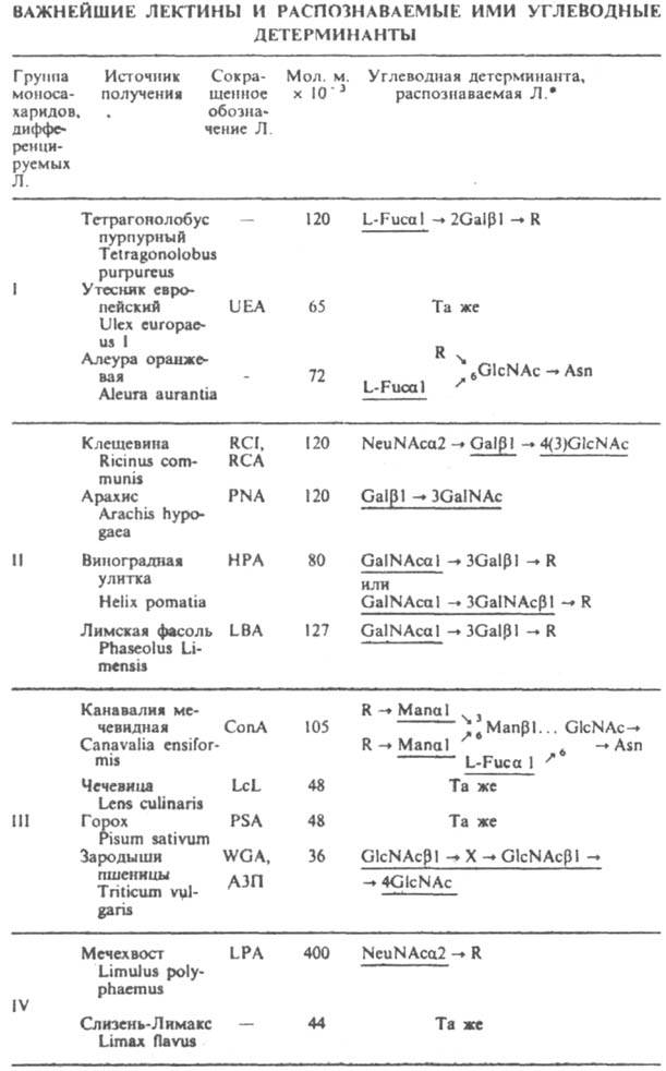 https://www.pora.ru/image/encyclopedia/0/7/8/8078.jpeg