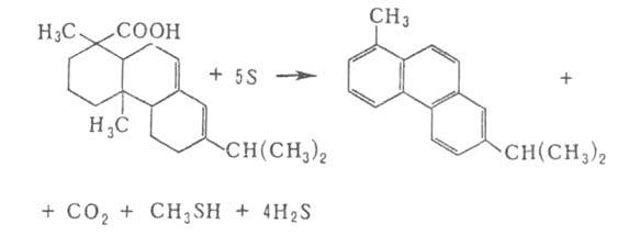 https://www.pora.ru/image/encyclopedia/0/8/2/4082.jpeg