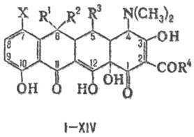 https://www.pora.ru/image/encyclopedia/0/8/8/14088.jpeg