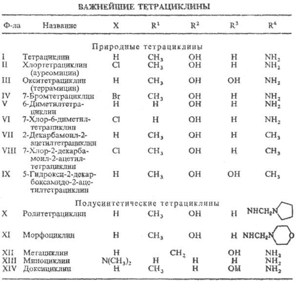 https://www.pora.ru/image/encyclopedia/0/8/9/14089.jpeg