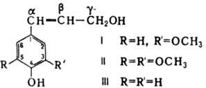 https://www.pora.ru/image/encyclopedia/0/9/0/8090.jpeg