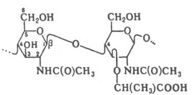 https://www.pora.ru/image/encyclopedia/0/9/5/8095.jpeg