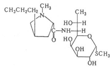 https://www.pora.ru/image/encyclopedia/0/9/9/8099.jpeg