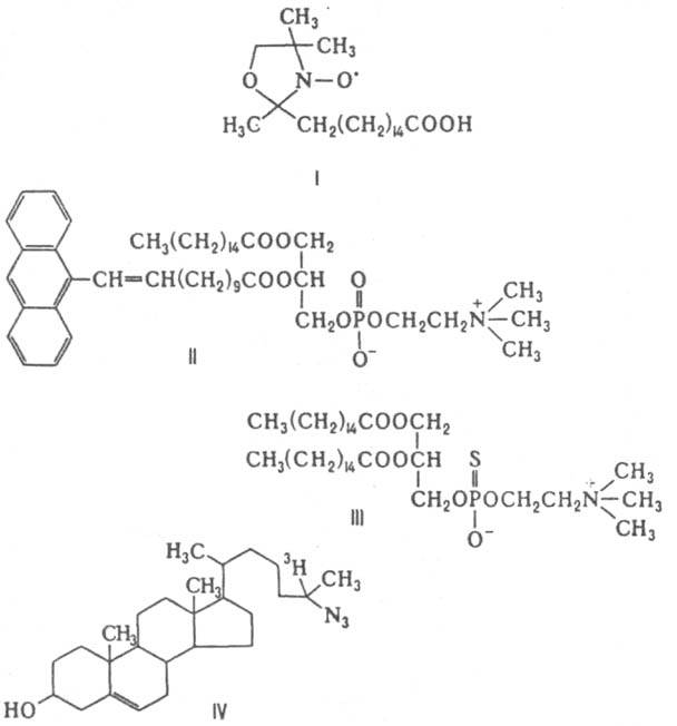 https://www.pora.ru/image/encyclopedia/1/0/2/8102.jpeg