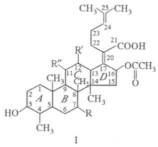 https://www.pora.ru/image/encyclopedia/1/0/7/16107.jpeg