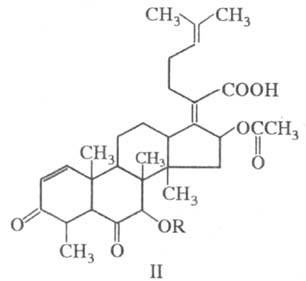 https://www.pora.ru/image/encyclopedia/1/0/8/16108.jpeg