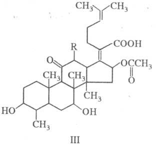 https://www.pora.ru/image/encyclopedia/1/0/9/16109.jpeg