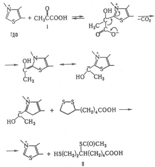 https://www.pora.ru/image/encyclopedia/1/0/9/8109.jpeg