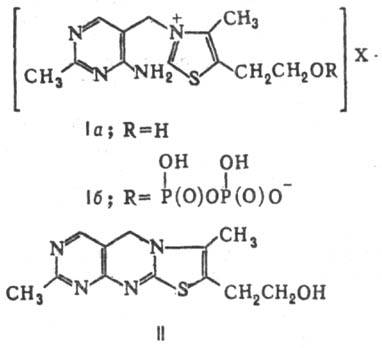 https://www.pora.ru/image/encyclopedia/1/1/3/14113.jpeg