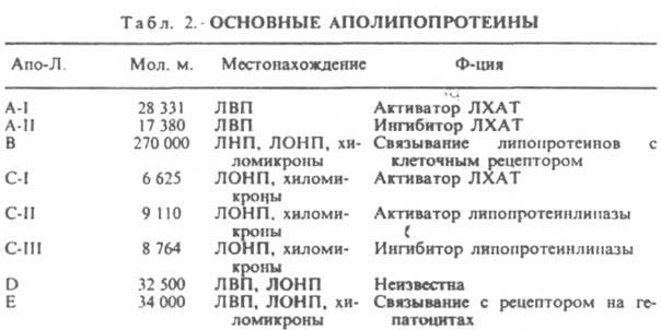 https://www.pora.ru/image/encyclopedia/1/1/5/8115.jpeg