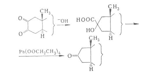 https://www.pora.ru/image/encyclopedia/1/2/6/3126.jpeg