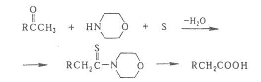 https://www.pora.ru/image/encyclopedia/1/2/9/4129.jpeg