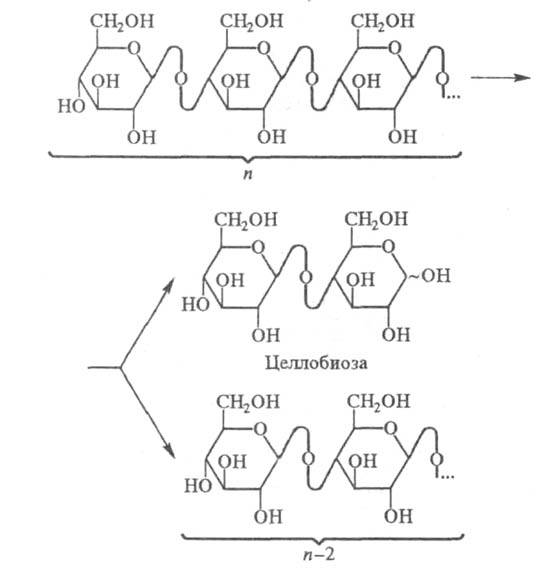 https://www.pora.ru/image/encyclopedia/1/5/3/17153.jpeg