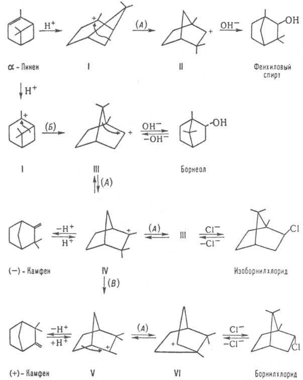 https://www.pora.ru/image/encyclopedia/1/5/7/7157.jpeg